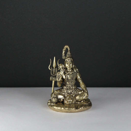 Shiv idol